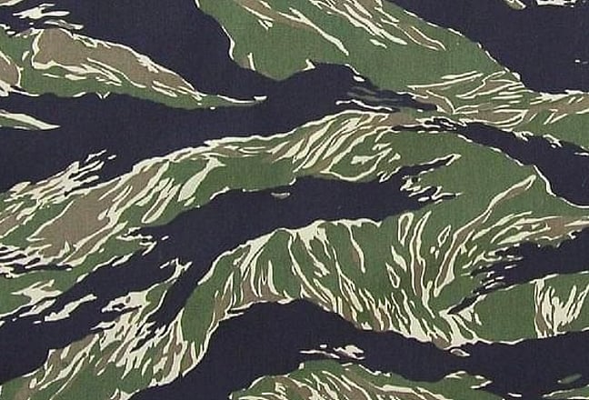 Vietnam Tiger Stripe